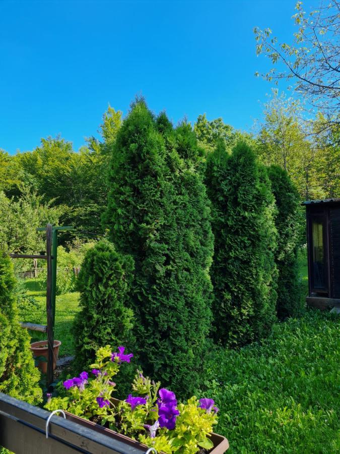 Kuca Za Odmor Hodak Plitvička Jezera Exteriör bild
