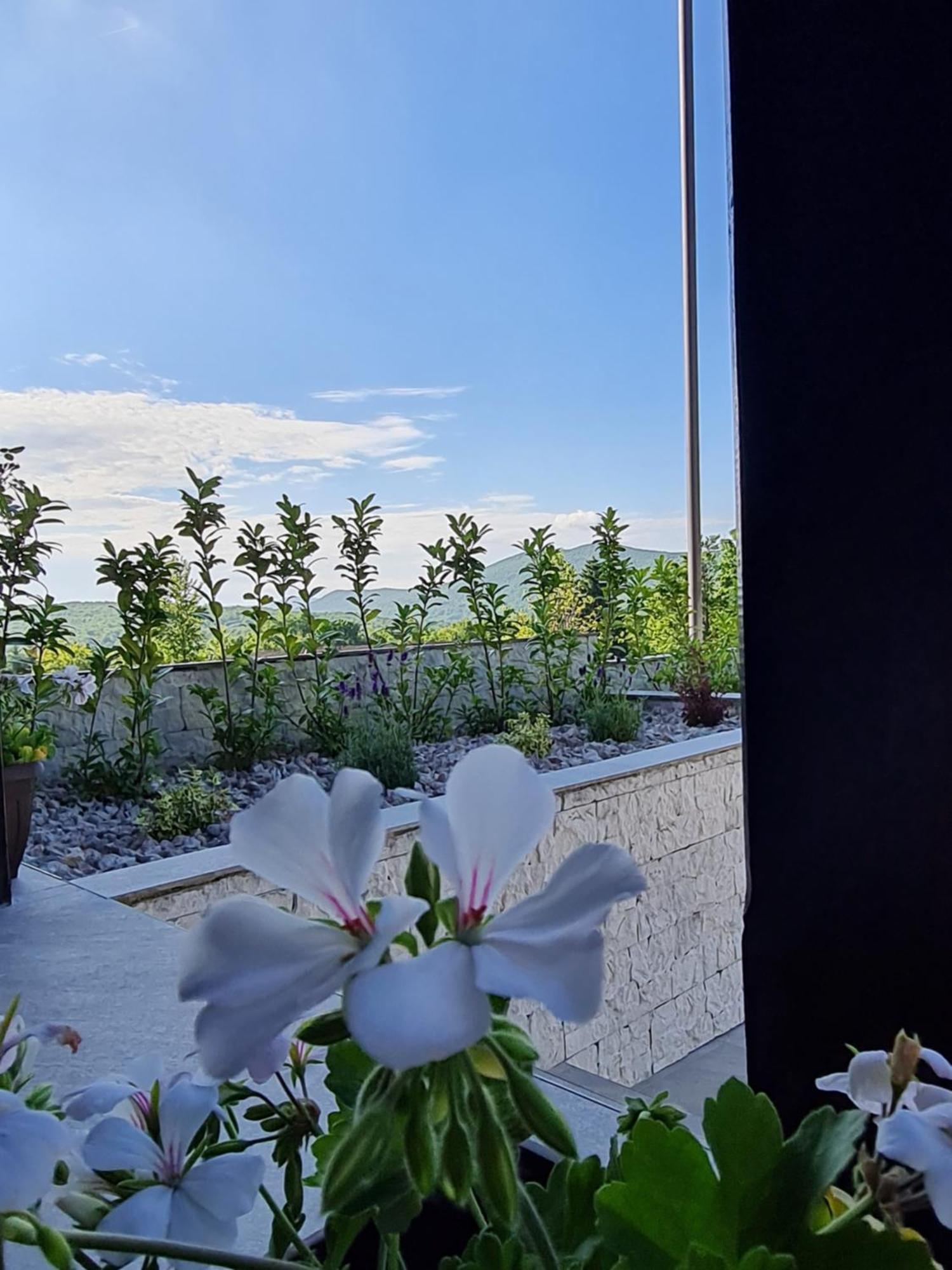 Kuca Za Odmor Hodak Plitvička Jezera Exteriör bild