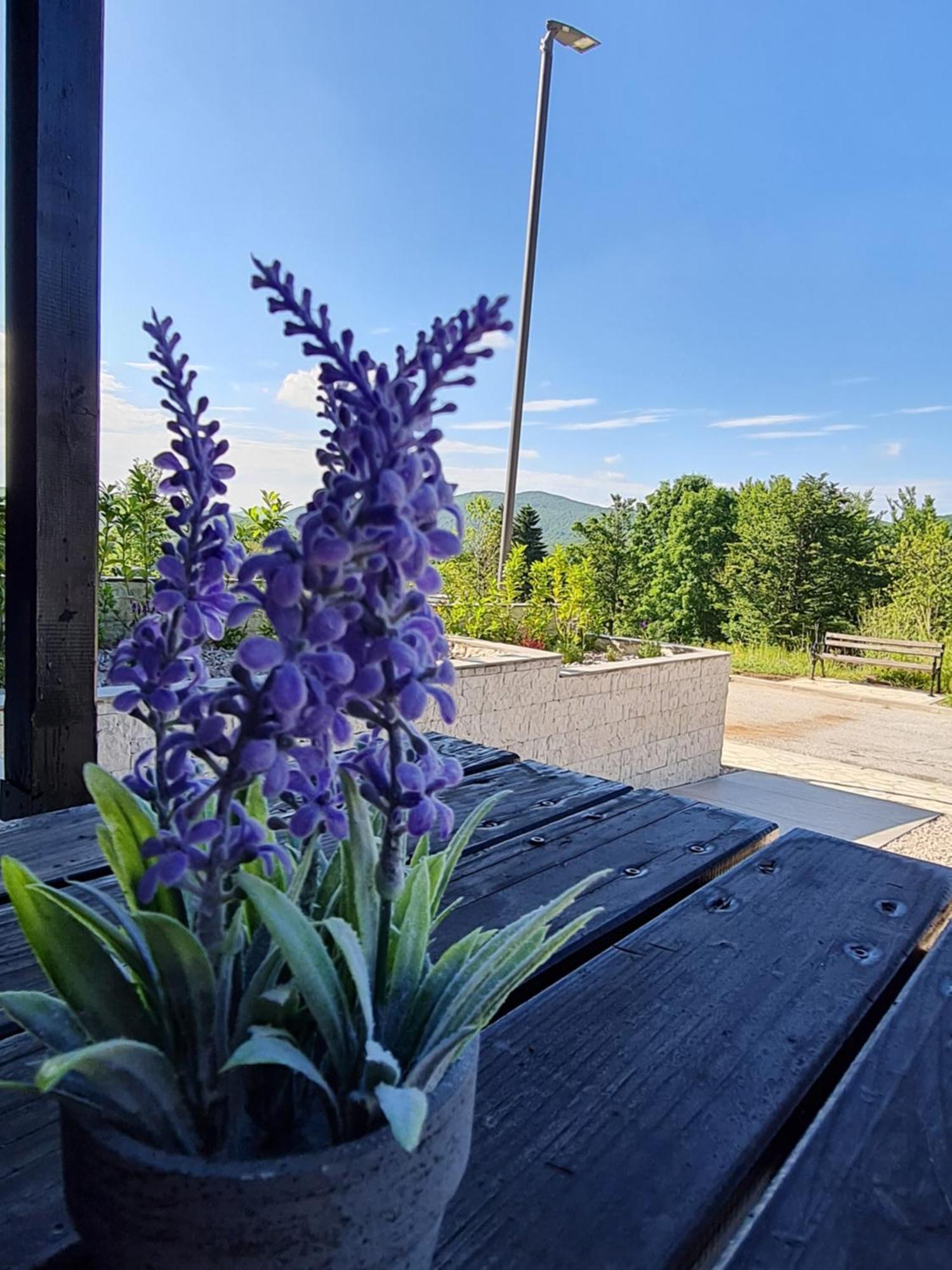 Kuca Za Odmor Hodak Plitvička Jezera Exteriör bild